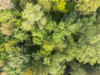 Similar image 22274452