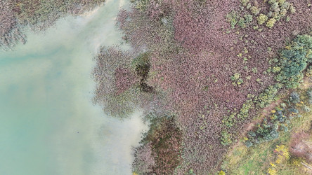 Similar image 22274453