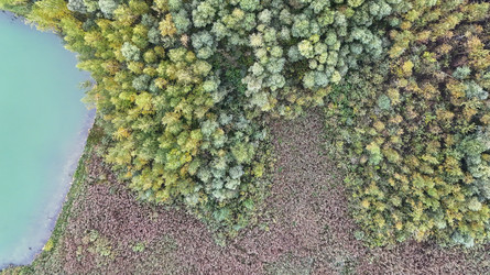 Similar image 22274454