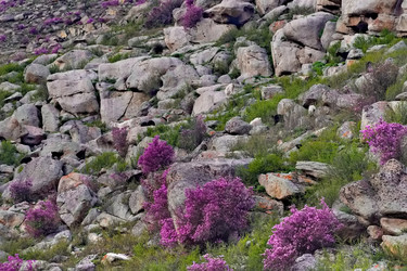 Similar image 22251821