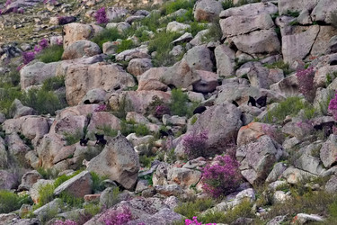 Similar image 22251822