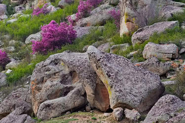 Similar image 22251823