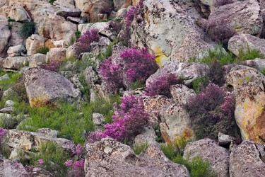 Similar image 22251824