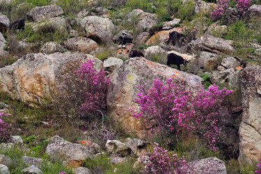 Similar image 22251826