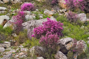 Similar image 22251827