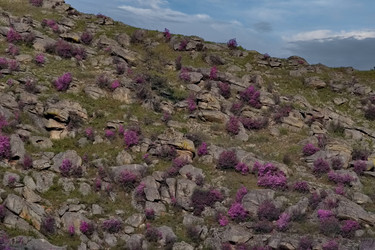 Similar image 22251828