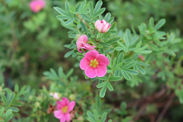 Similar image 22268776