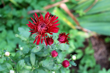 Similar image 22251877