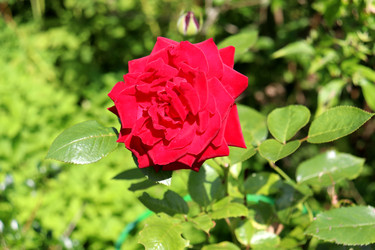 Similar image 22251878