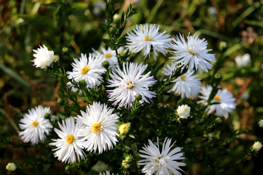 Similar image 22251879