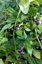 Similar image 22251880