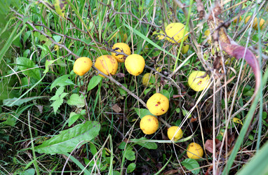 Similar image 22251882