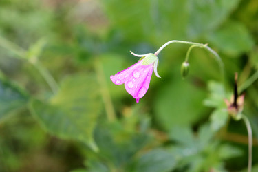 Similar image 22251883