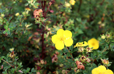 Similar image 22251885