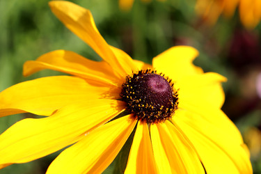 Similar image 22251886