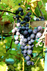 Similar image 22255078