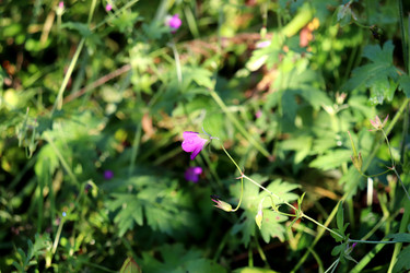 Similar image 22255079