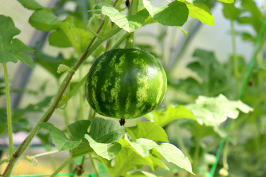 Similar image 22255081