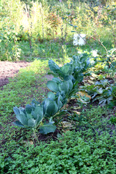 Similar image 22268777