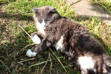 Similar image 22268778