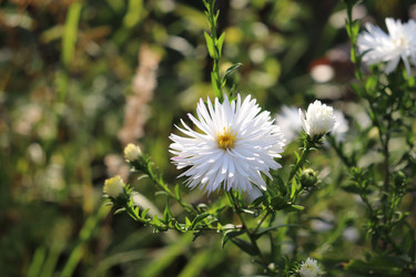 Similar image 22268779