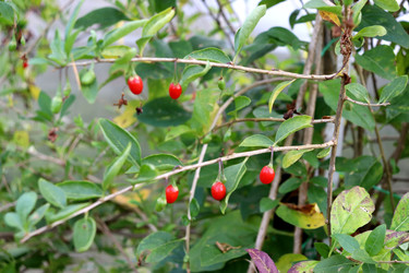 Similar image 22268780