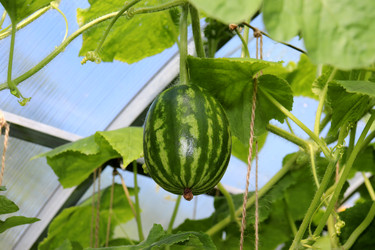 Similar image 22268781