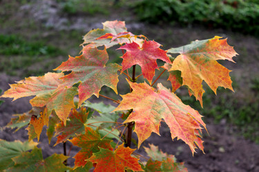 Similar image 22268783