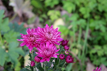 Similar image 22268784