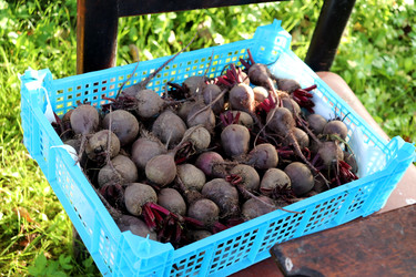 Similar image 22251888