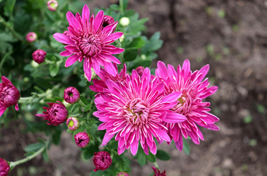 Similar image 22251891