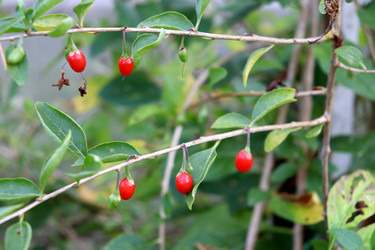 Similar image 22251892