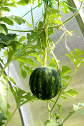 Similar image 22251893