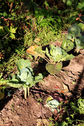 Similar image 22251894