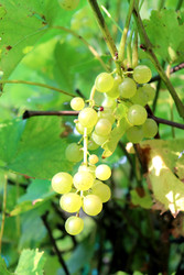 Similar image 22251896