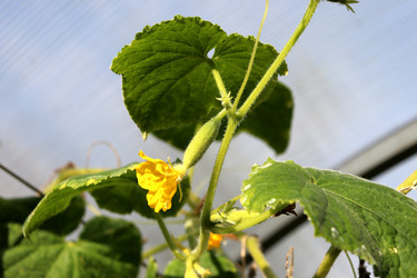 Similar image 22251897