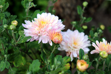 Similar image 22251899