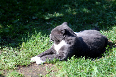 Similar image 22251900