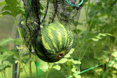 Similar image 22251902