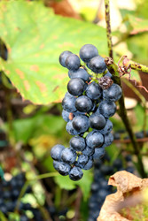 Similar image 22251903