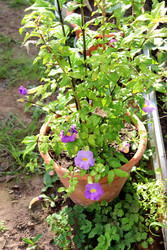 Similar image 22251904