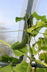 Similar image 22251905