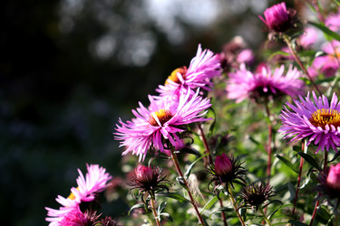 Similar image 22251906