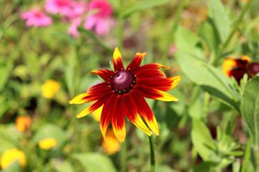 Similar image 22255082