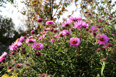 Similar image 22255083