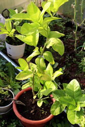 Similar image 22255085