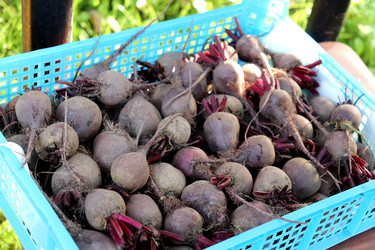 Similar image 22268785