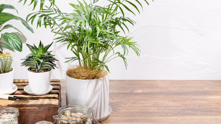 Similar image 22253220