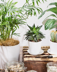 Similar image 22253221