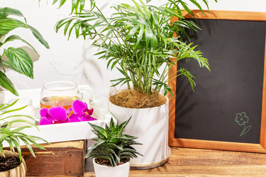 Similar image 22253223